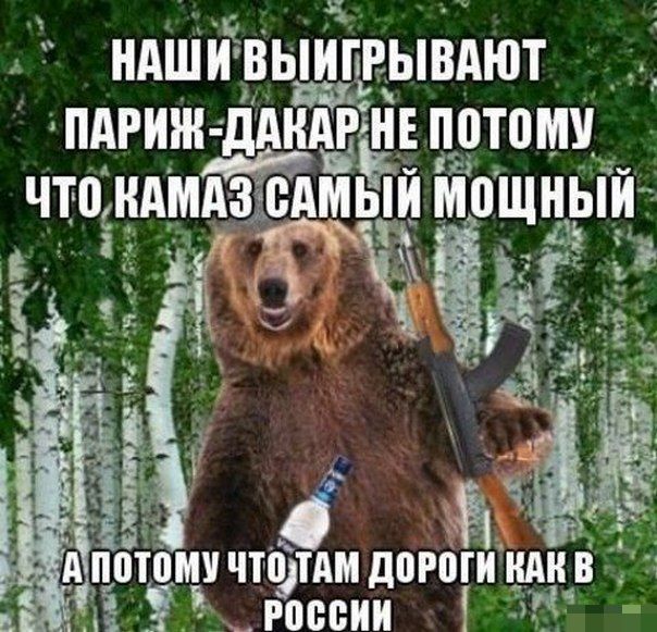 Прикольные картинки (125 фото)