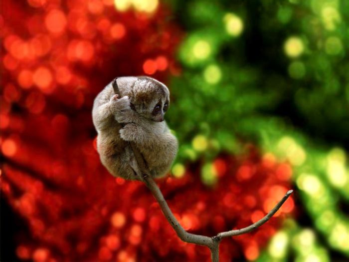 Прикольные картинки (125 фото)