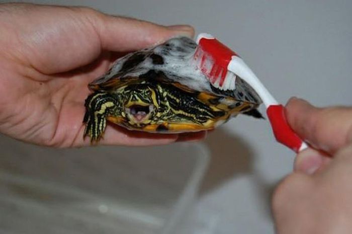 Прикольные картинки (125 фото)