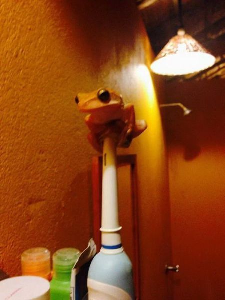 Прикольные картинки (125 фото)