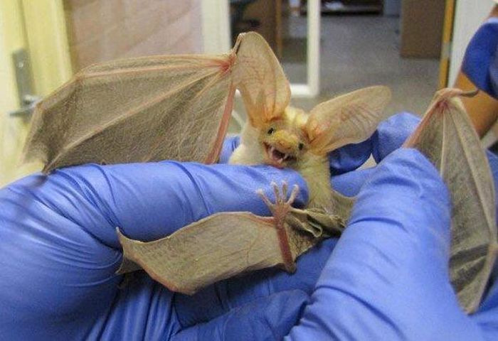 Прикольные картинки (125 фото)