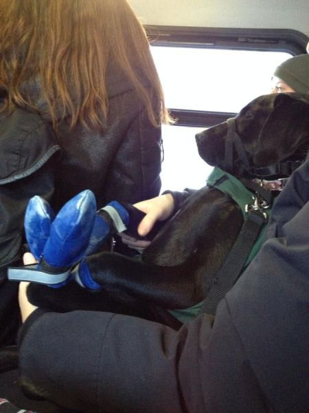 Прикольные картинки (125 фото)