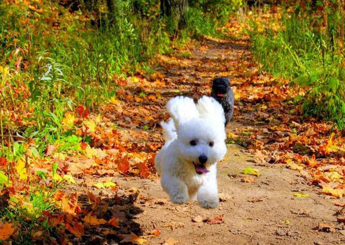 Прикольные картинки (125 фото)