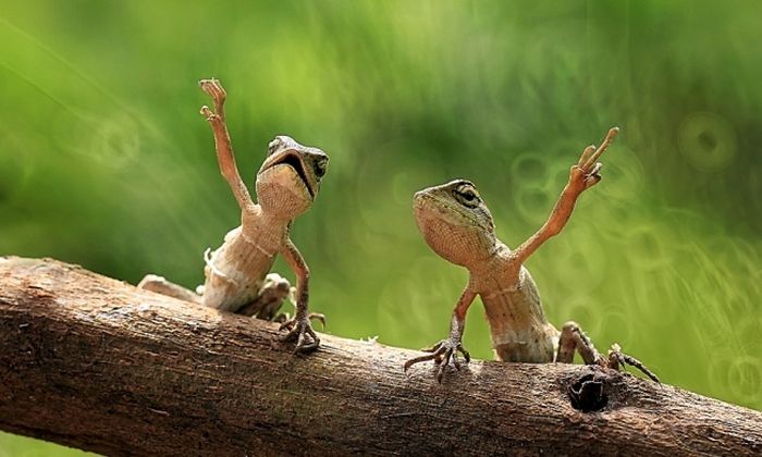 Прикольные картинки (125 фото)