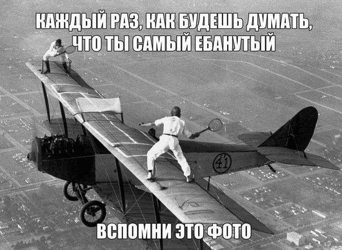 Прикольные картинки (122 фото)