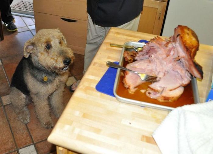 Прикольные картинки (122 фото)