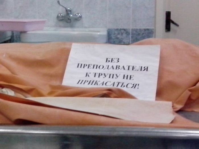 Прикольные картинки (122 фото)