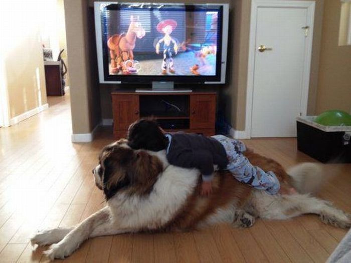 Прикольные картинки (122 фото)