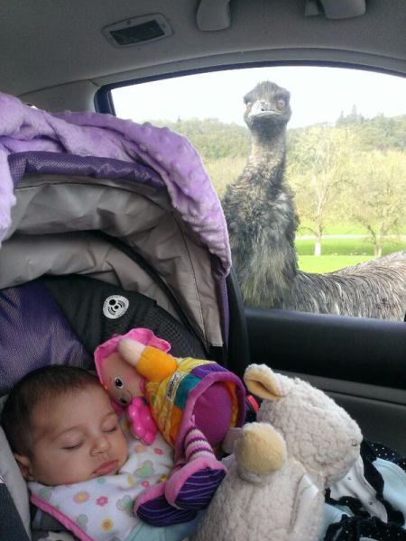 Прикольные картинки (122 фото)