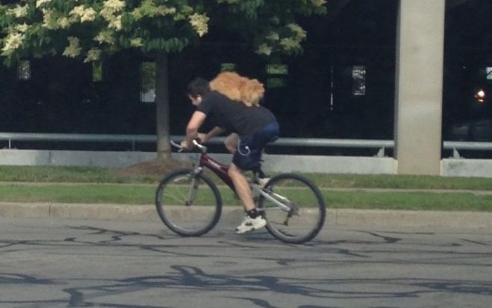 Прикольные картинки (122 фото)