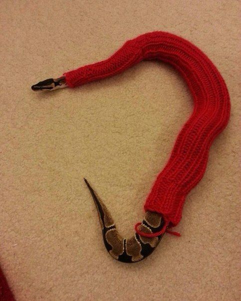 Прикольные картинки (122 фото)