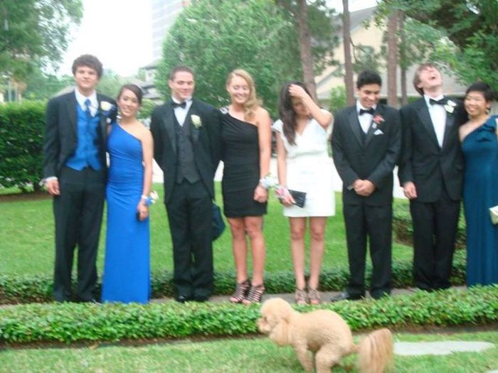 Прикольные картинки (122 фото)