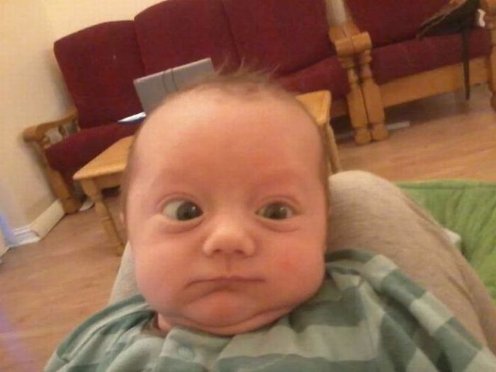 Прикольные картинки (135 фото)