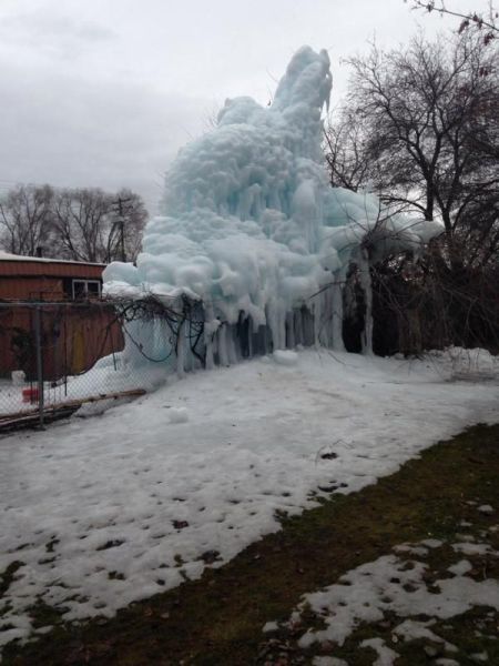 Прикольные картинки (135 фото)