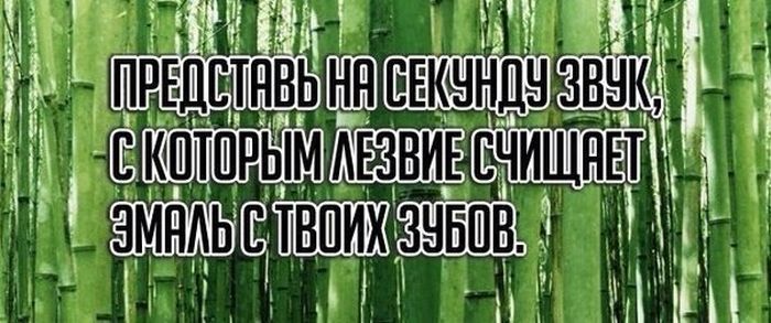 Прикольные картинки (135 фото)