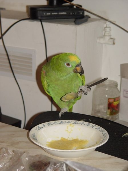 Прикольные картинки (135 фото)