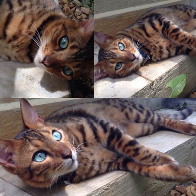 Прикольные картинки (134 фото)