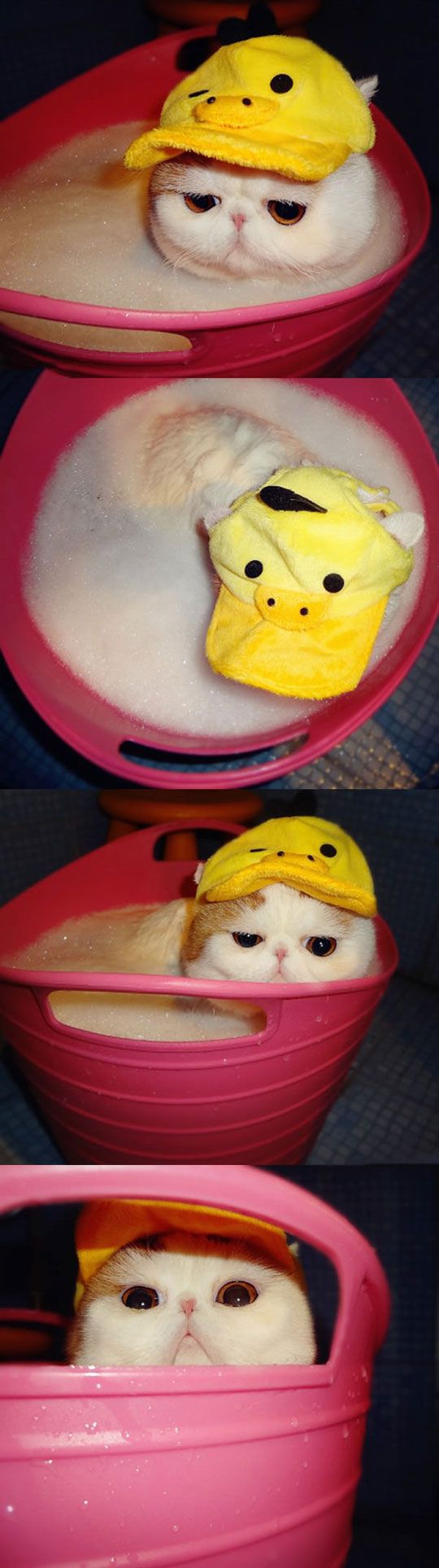 Прикольные картинки (134 фото)