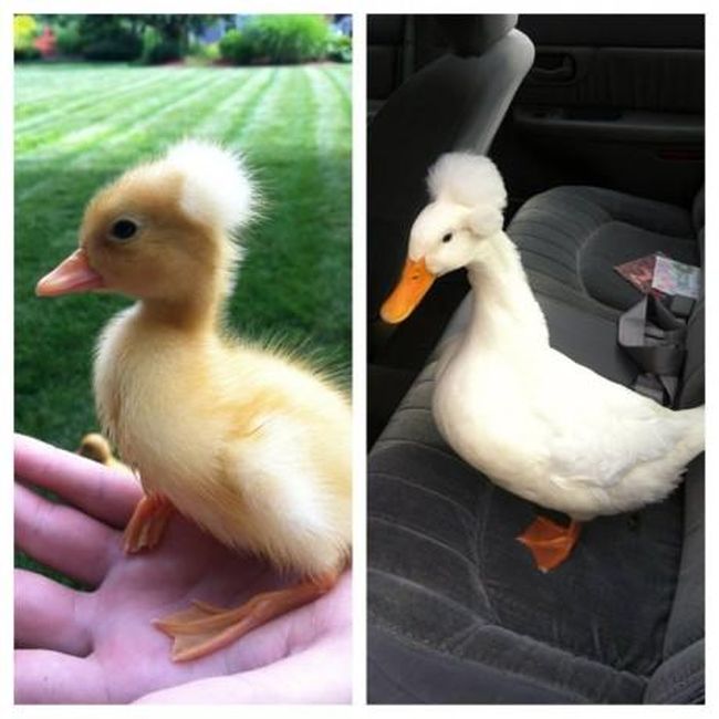 Прикольные картинки (134 фото)