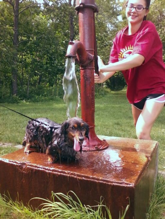 Прикольные картинки (134 фото)