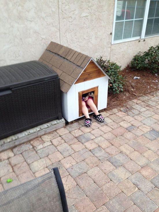 Прикольные картинки (134 фото)