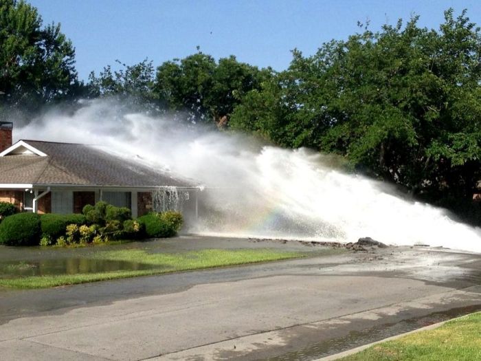 Прикольные картинки (134 фото)