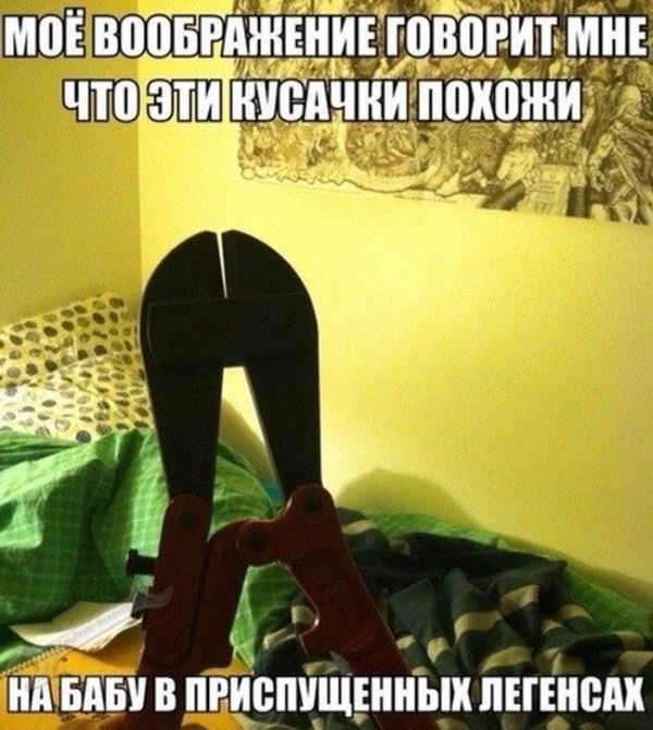 Прикольные картинки (91 фото)