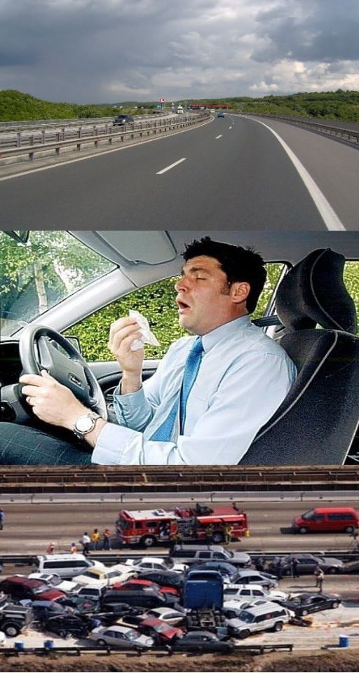 Прикольные картинки (91 фото)