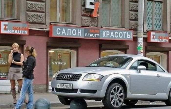 Прикольные картинки (91 фото)