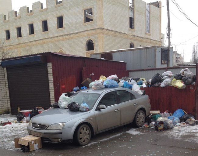 Прикольные картинки (91 фото)