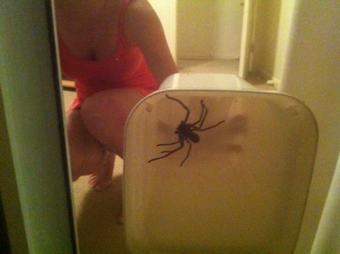 Прикольные картинки (113 фото)