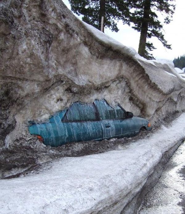 Прикольные картинки (113 фото)