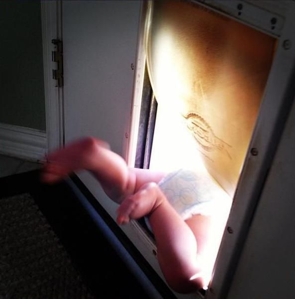 Прикольные картинки (113 фото)