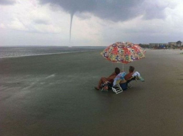 Прикольные картинки (113 фото)