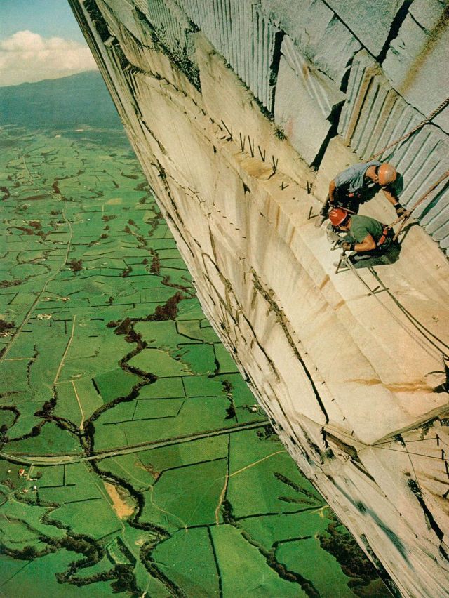 Прикольные картинки (113 фото)