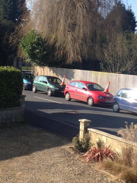 Прикольные картинки (113 фото)