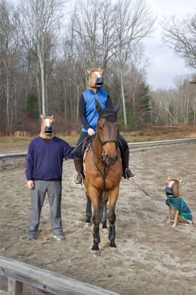 Прикольные картинки (113 фото)