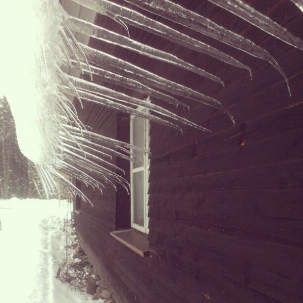 Прикольные картинки (113 фото)