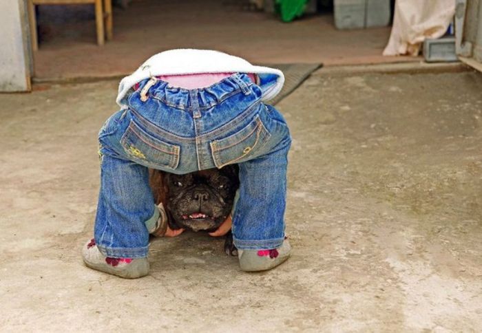 Прикольные картинки (131 фото)