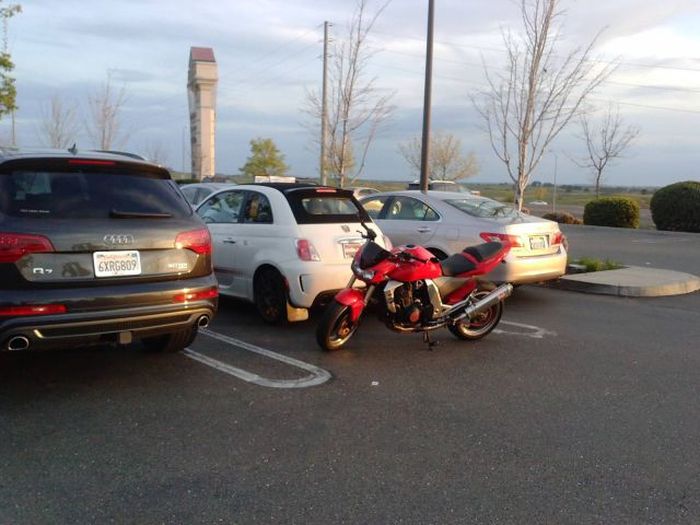 Прикольные картинки (131 фото)