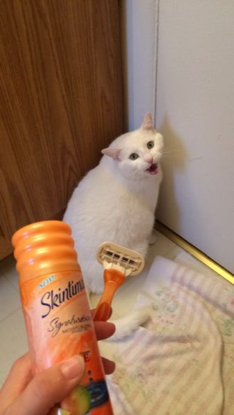 Прикольные картинки (131 фото)