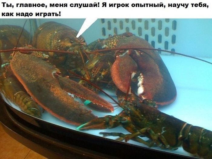 Прикольные картинки (131 фото)