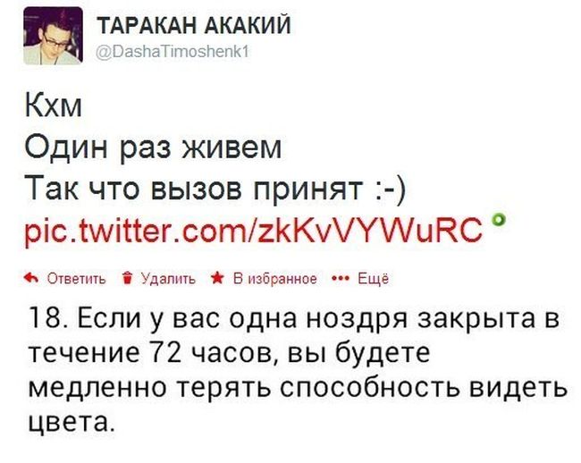 Прикольные картинки (91 фото)