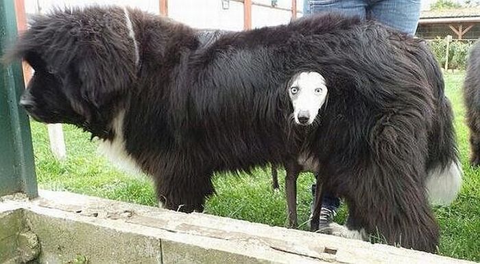 Прикольные картинки (91 фото)