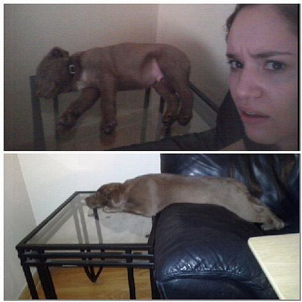 Прикольные картинки (91 фото)