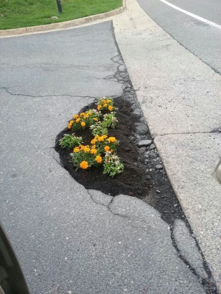 Прикольные картинки (92 фото)