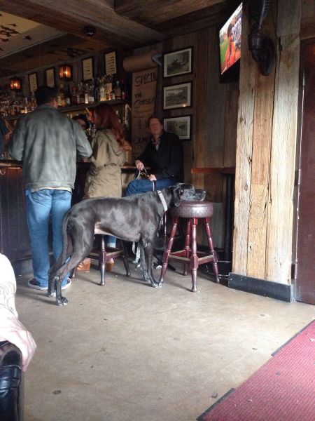 Прикольные картинки (92 фото)