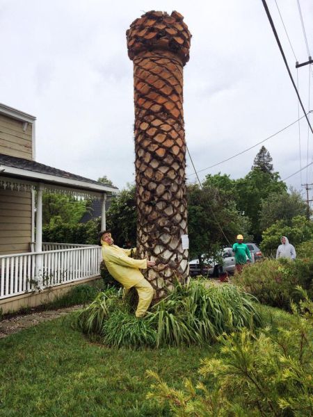 Прикольные картинки (92 фото)