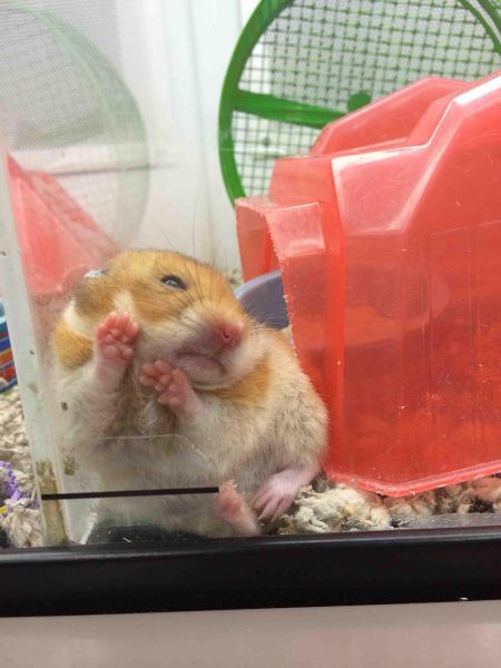 Прикольные картинки (92 фото)