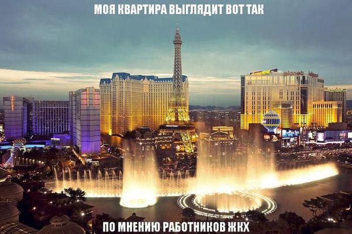 Прикольные картинки (92 фото)